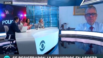 holfman: lo que hacemos es reaccionar frente a determinados ilicitos, no atacamos las causas