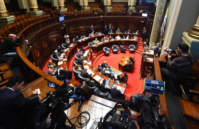 Foto: FocoUy. Gabriel Oddone es interpelado en el Senado el 22 de junio de 2026.