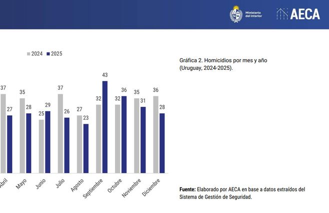 homicdios-mes-a-mes-2024-y-2025