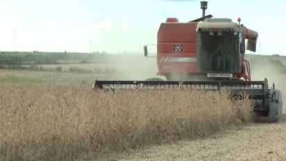 uruguay pierde un millon de toneladas de alimentos al ano segun la fao