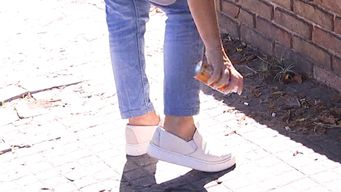 intendencia de salto recibio repelentes del sinae y los distribuira en centros de estudio y residenciales