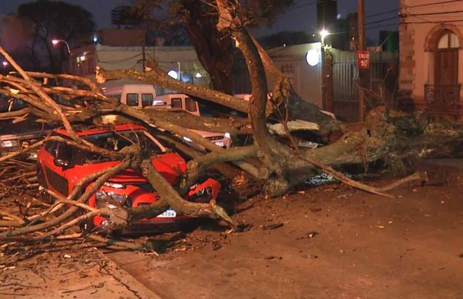 auto-la-blanqueada-arbol-tormenta.jpg
