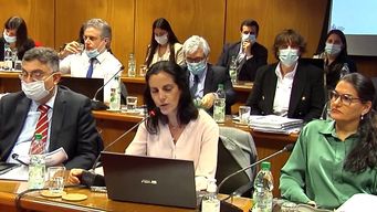 hay cosas que no cierran, dijo diputado del fa tras presentacion de la ministra de economia