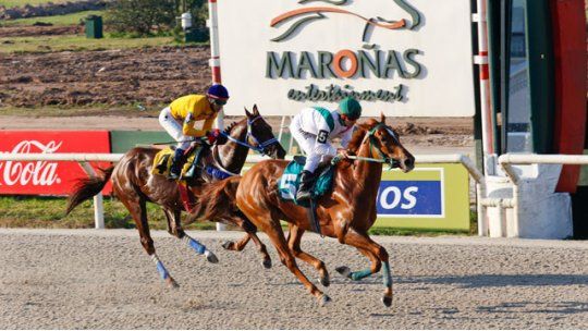 turf calaf