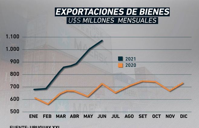 exportaciones-lussich-vivo.jpg
