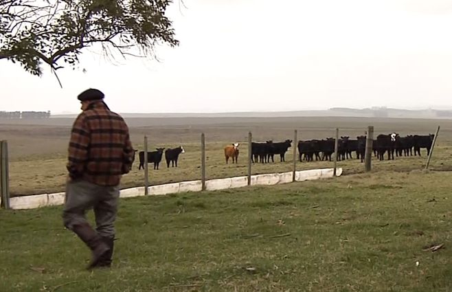 peon-rural-campo.jpg