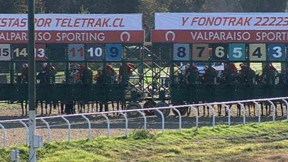 volvio el turf en chile con apuestas por internet y telefono