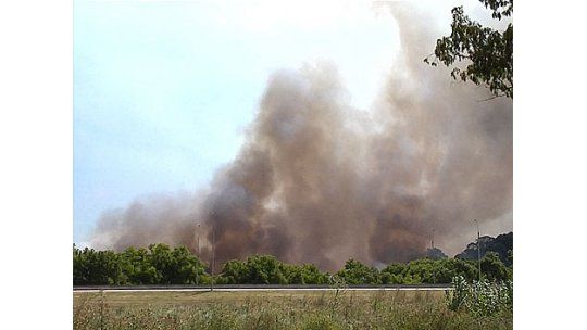 Incendio afectó zona cercana al Comcar