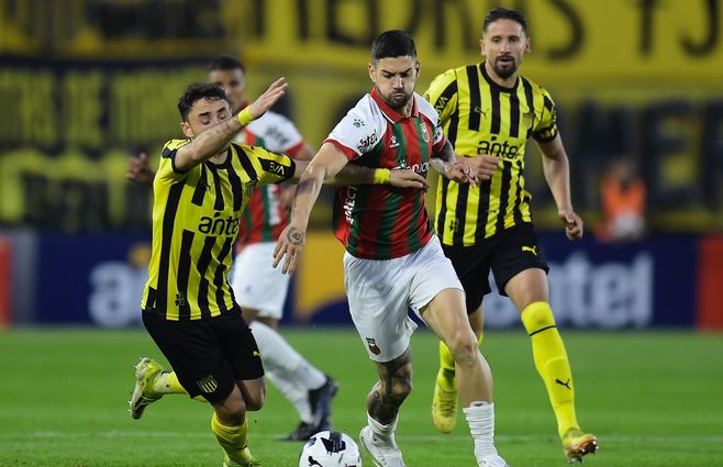 WhatsApp Image 2024-10-11 at 20.30.00.jpeg