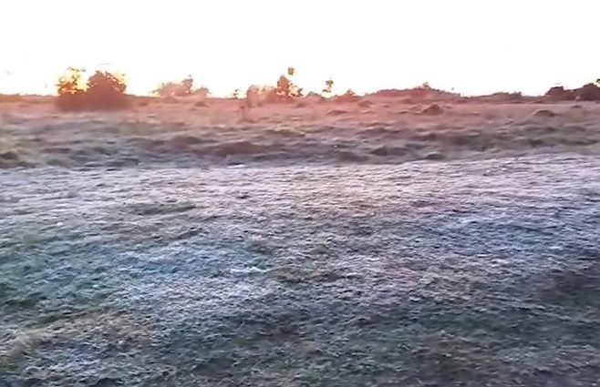 frio-helada-campo-uruguay-archivo.jpg