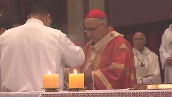 obispos de la iglesia catolica realizaron una misa para rezar por el papa francisco, encabezada por sturla