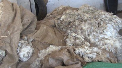 recuperaron los 4.000 kilos de lana robada de un galpon en florida