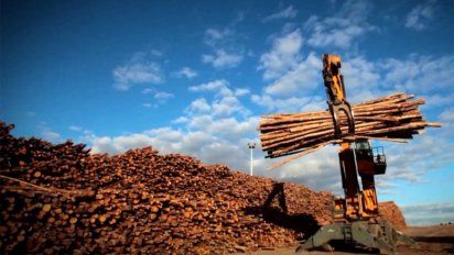 advierten sobre potencial impacto negativo de terminal de upm en el puerto