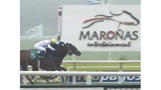 Estos fueron los ganadores del turf el fin de semana