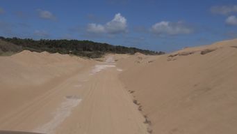 juez recarey ordena detener obras de la intendencia en punta colorada