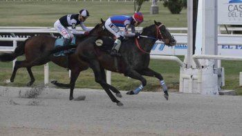 Subrayado | MICRO TURF 30 D DIC