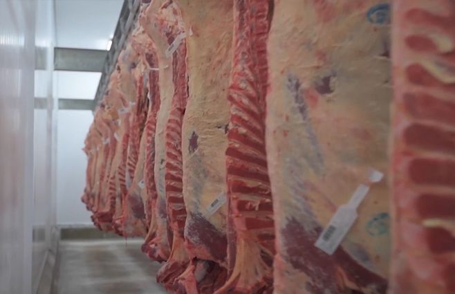 frigorifico-asado.jpg
