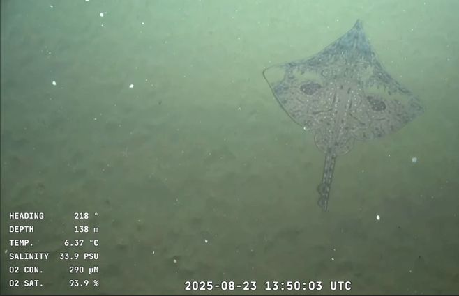 Raya-expedición-Uruguay-Sub200