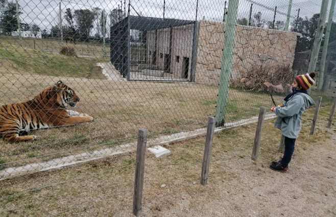 ruben-visita-talice.jpg