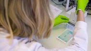 Este viernes se registraron 263 casos nuevos y 1 fallecido