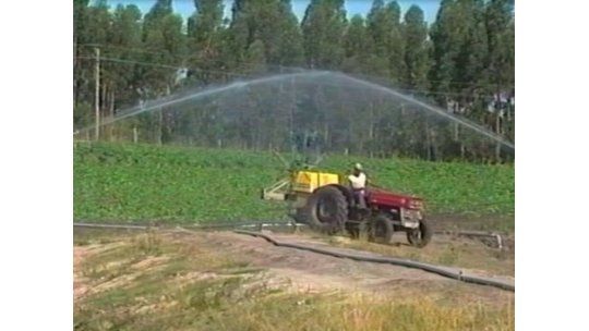 Recurso contra impuesto a la tierra presentado por firma forestal