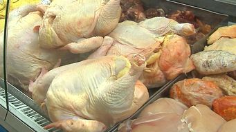 sector avicola manifiesta preocupacion por baja del 20% en la produccion de faena desde finales de noviembre