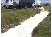 Ya tiraron miles de kilos de crema de leche de Conaprole