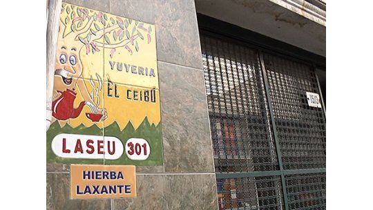 Segundo robo en tres días a una yuyería del Centro