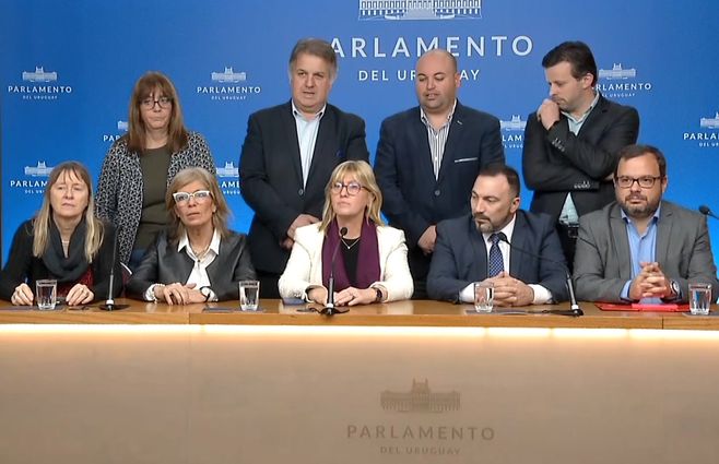 cristina-lustemberg-parlamento.jpg