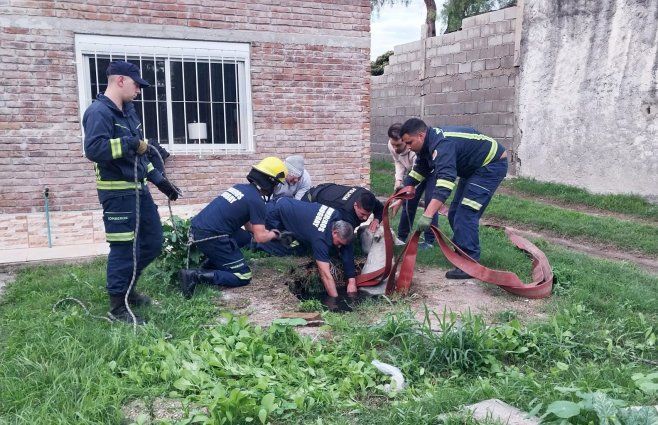 Foto cedida a Subrayado.