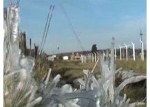 Una sorprendente helada afectó a la ciudad de Minas