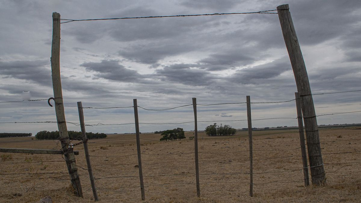 Lluvias de las últimas horas en la cuenca del Santa Lucía: San José y Canelones con buenos acumulados