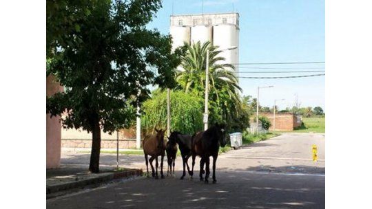 Durazno: recomiendan no volver a hogares porque lloverá otra vez