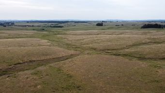 fiscalia de maldonado pidio 5 y 7 anos de prision para escribanos implicados en venta ilegal de terrenos