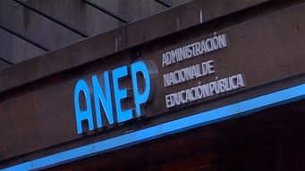 diputados votaron recursos para la anep sin financiamiento, y el senado busca una solucion, dijo alejandro sanchez