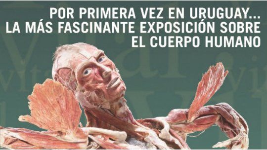 exposicion