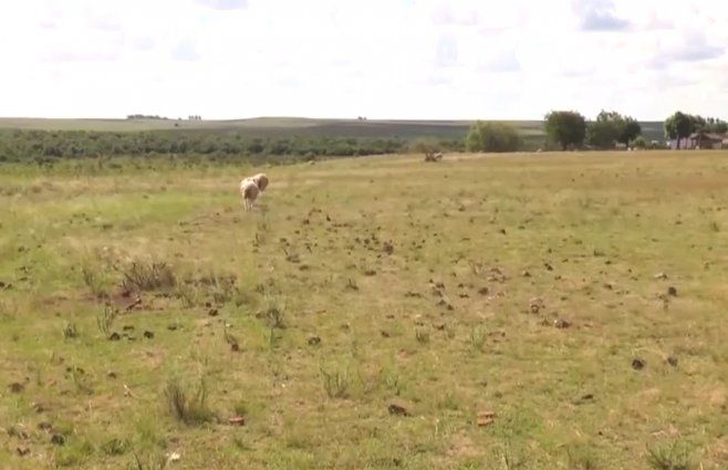 Foto: Subrayado. Las personas se encontraban en la localidad Las Flores, en Salto.