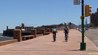 el plan transitorio de la intendencia de montevideo para las bicicletas en la rambla