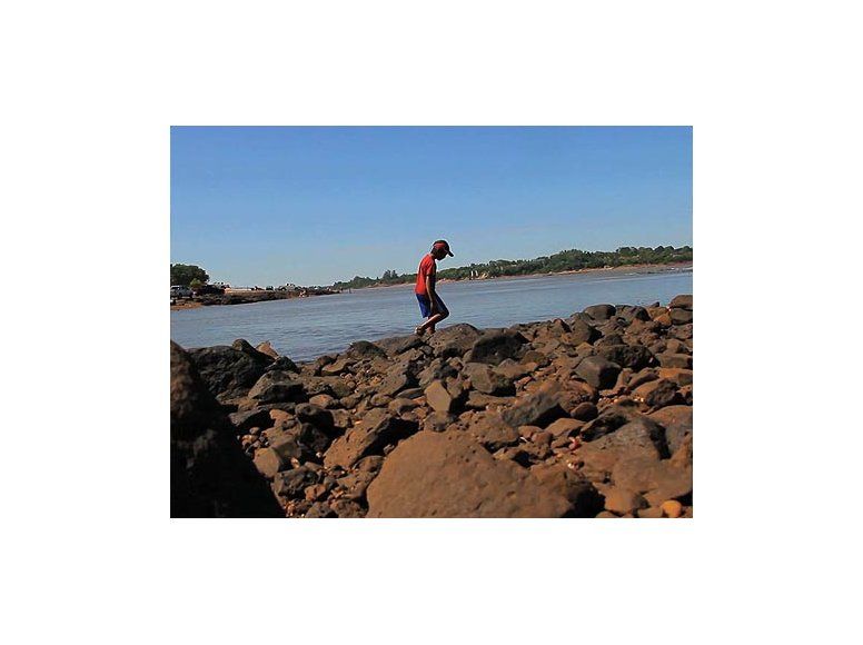 Una pareja fue atacada por pirañas en una playa del Río Uruguay
