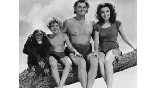 A los 80 años murió Chita, el chimpancé de Tarzán