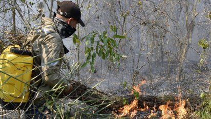 lluvias ayudan a aplacar incendios forestales en bolivia