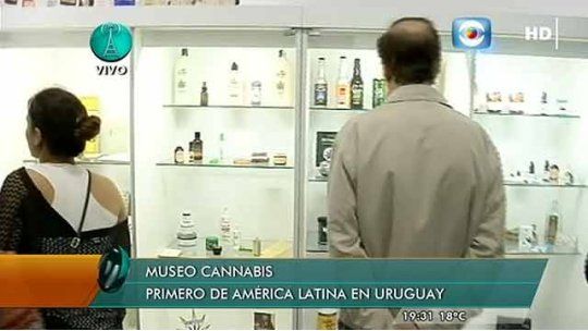 Museo del Cannabis