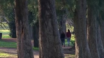 una adolescente de 14 anos denuncio haber sido violada y robada en el prado; hay un indagado