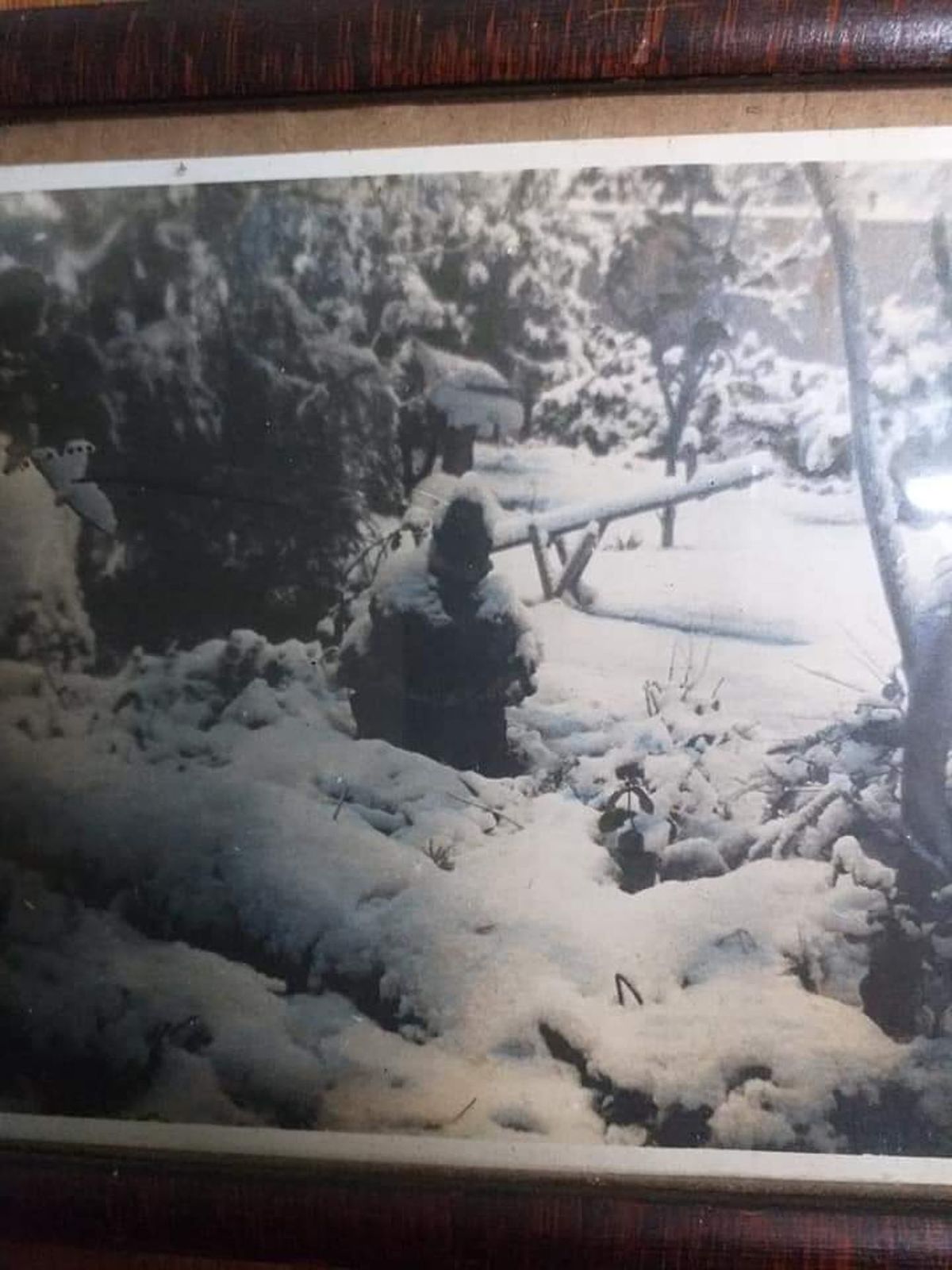 Foto cedida a Subrayado. Nieve en Agraciada (Colonia-Soriano), el 16 julio 1962. Foto cedida a Subrayado. Nieve en Agraciada (Colonia-Soriano), el 16 julio 1962.
