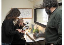 Primeros habitantes llegaron 17 mil años antes de lo que se creía