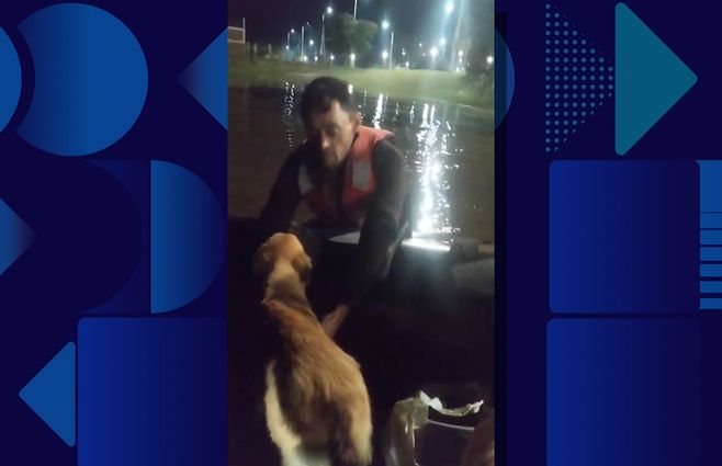 perros-rescatados-soriano.jpg