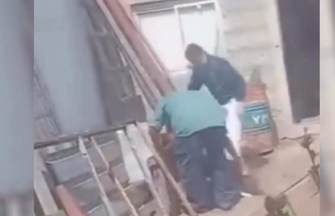 maltrato-animal-paysandú-inba-ong