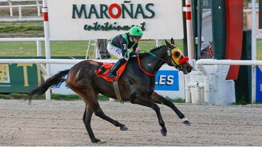turf lunes 26