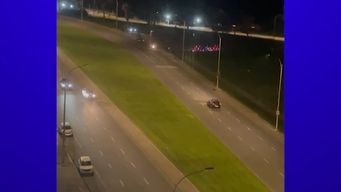 picadas en la noche: intendencia de montevideo solicita a los vecinos que las reporten