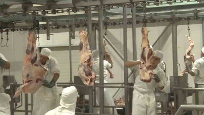 Casos de Covid-19 en frigoríficos: MGAP y MSP analizan cumplimiento de protocolos